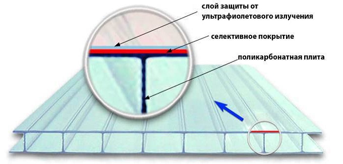 Устойчивость к ультрафиолетовым лучам