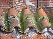 220px-Mwknch_Nonne_kalundborg_P3180069