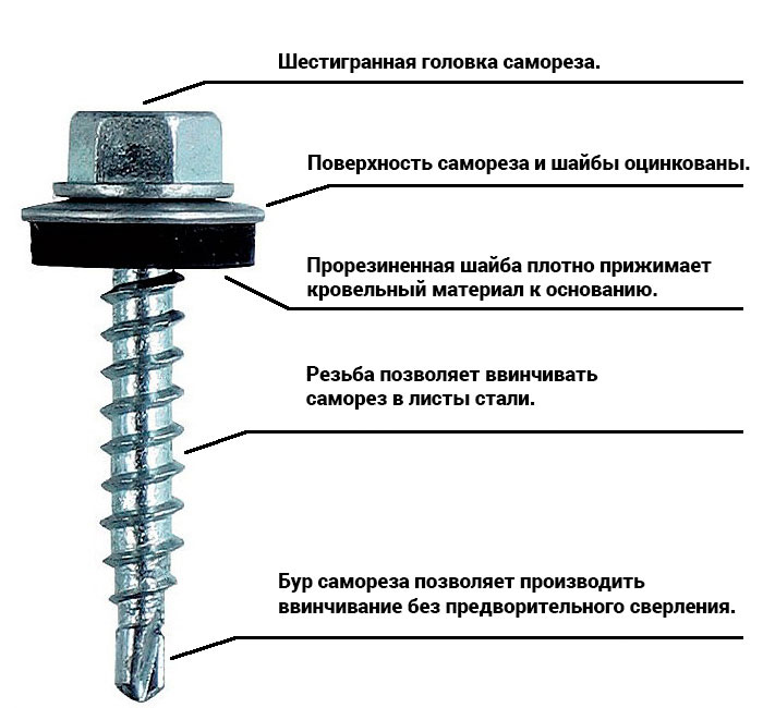 из чего состоит саморез