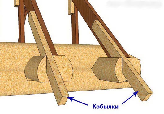 kobylki